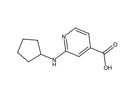 2-(Cyclopentylamino)isonicotinic acid molecular structure
