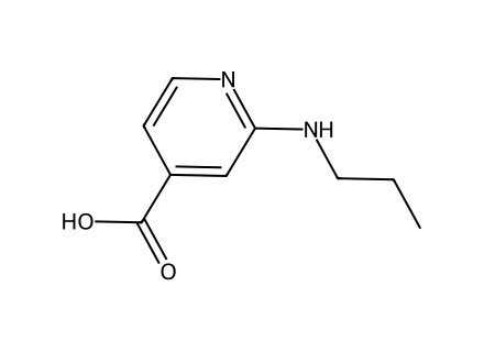 2-(Propylamino)isonicotinic acid molecular structure