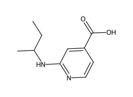 2-(sec-Butylamino)isonicotinic acid molecular structure