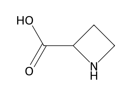 Azetidine-2-Carboxylic Acid molecular structure