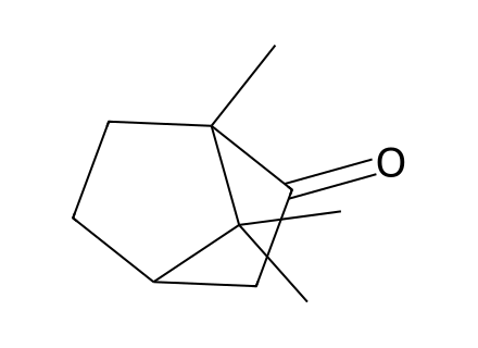 Camphor molecular structure