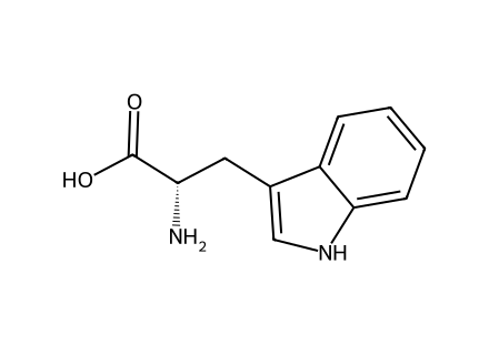 L-Tryptophan molecular structure