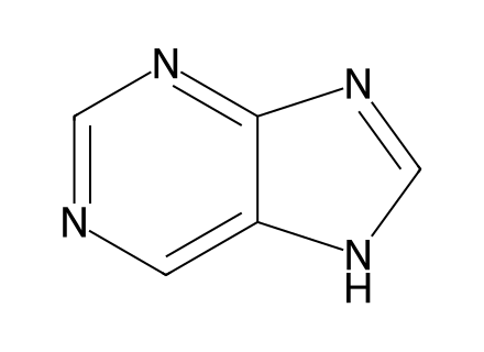 Purine molecular structure